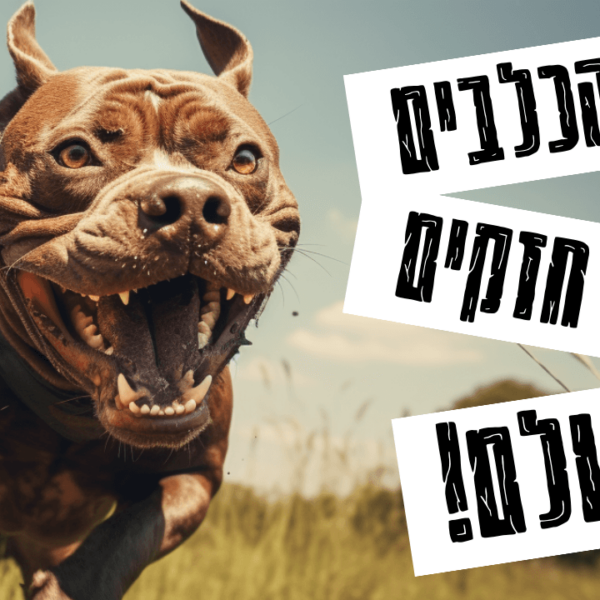 10 הכלבים הכי חזקים בעולם